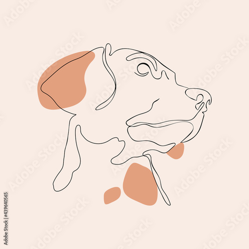 Single line minimal style dog vector illustration, beagle portrait, continuous line

