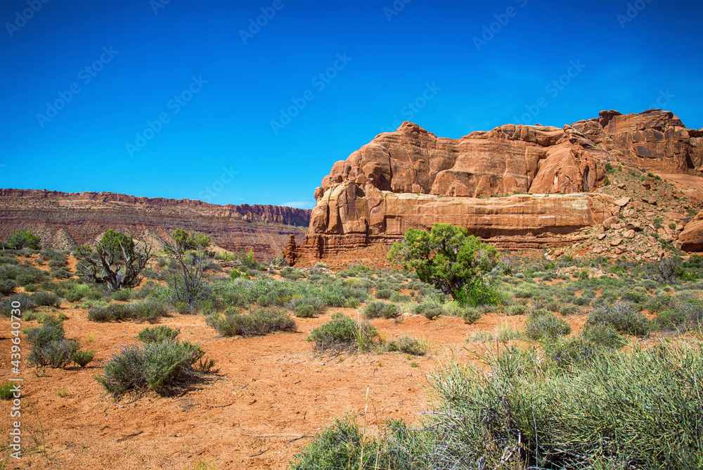 Red Rock Landscape of the Desert