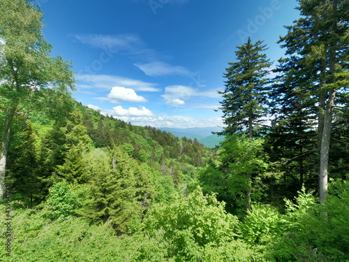 landscape with sky clingmans dome tennessee knoxville gatlinburg