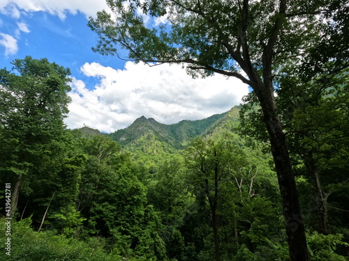 landscape with sky clingmans dome tennessee knoxville gatlinburg