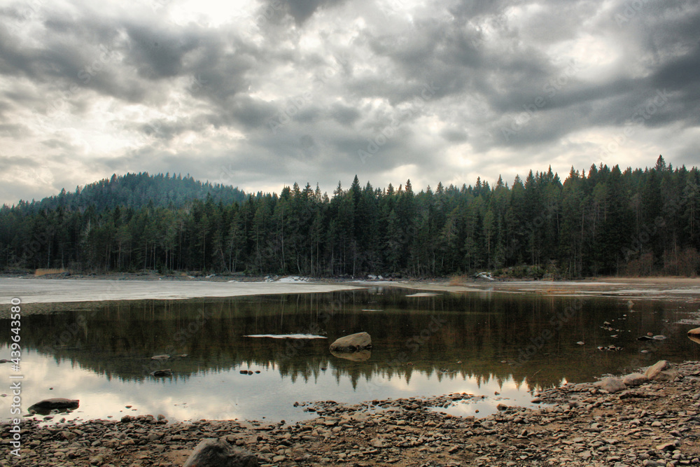 lake in the forest