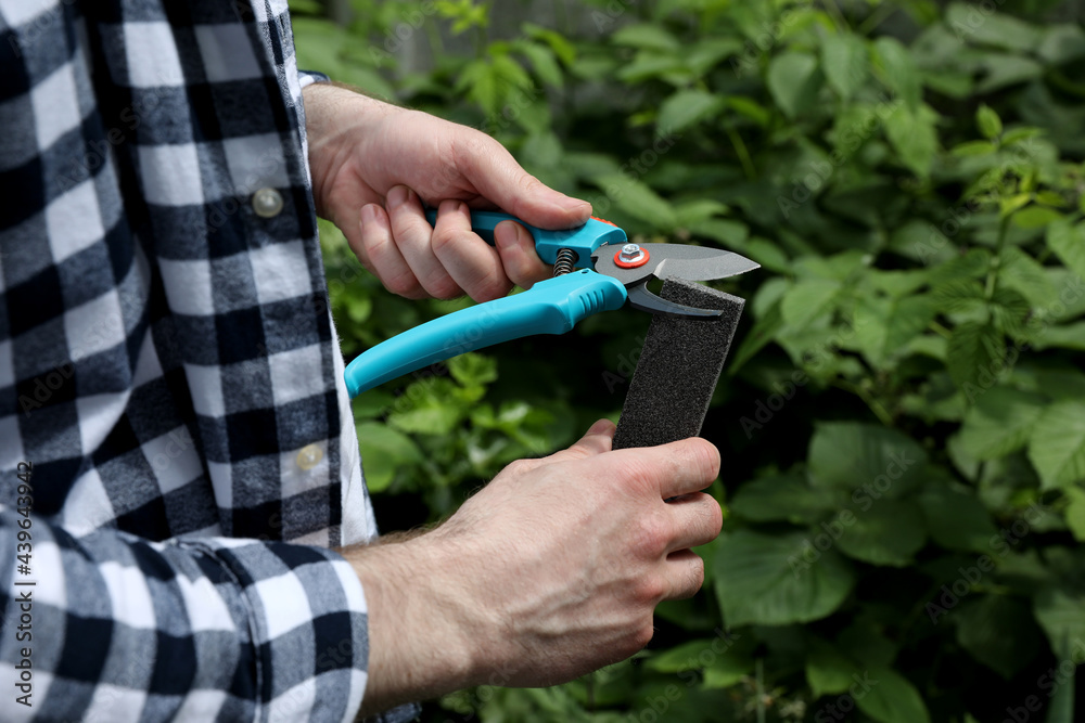 Fotografie Man sharpening pruner outdoors, closeup. Gardening tools