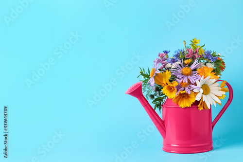 Pink watering can with beautiful flowers on light blue background, space for text