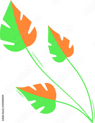 Vector plant monstera leaf of green and yellow color on a white background