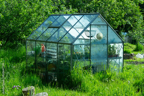 A glass greenhouse on an allotment in York, UK. © Joshua