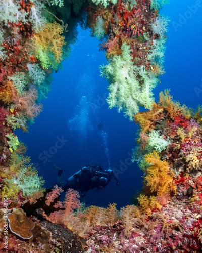Soft coral window and a diver in the background in Maldives