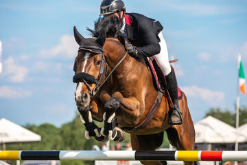 Horse Jumping, Equestrian Sports, Show Jumping themed photo.