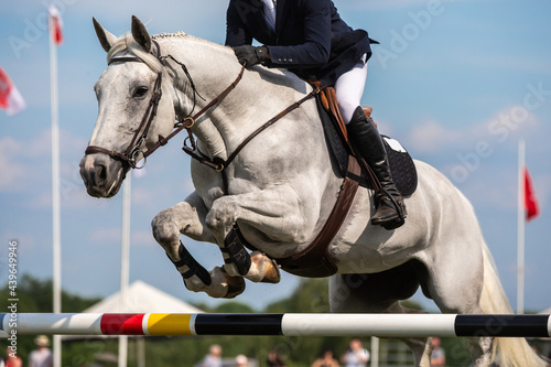 Horse Jumping, Equestrian Sports, Show Jumping themed photo. photo