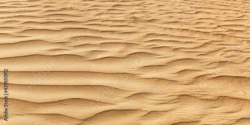Dubai desert sand panorama in United Arab Emirates
