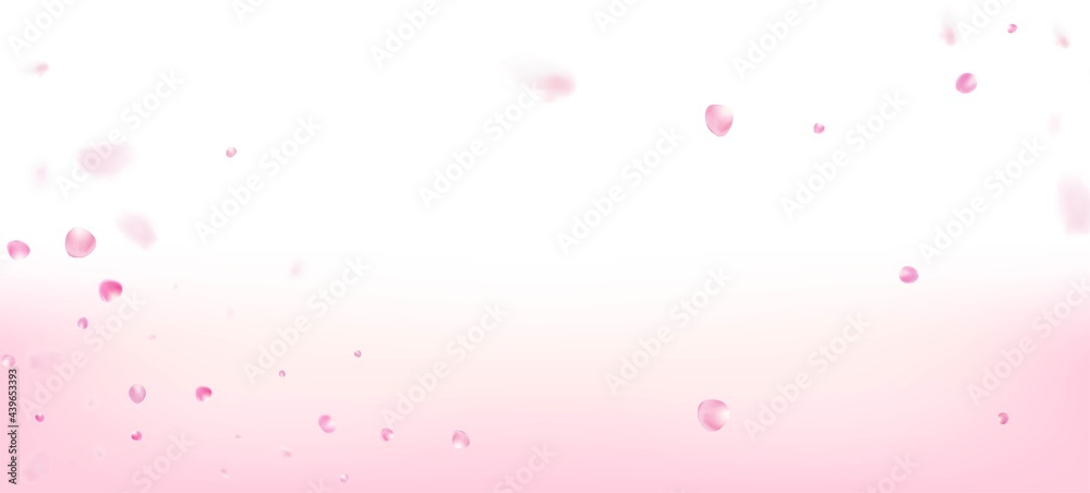 Rose Petals Falling Confetti. Windy Leaves Confetti Poster. Blooming