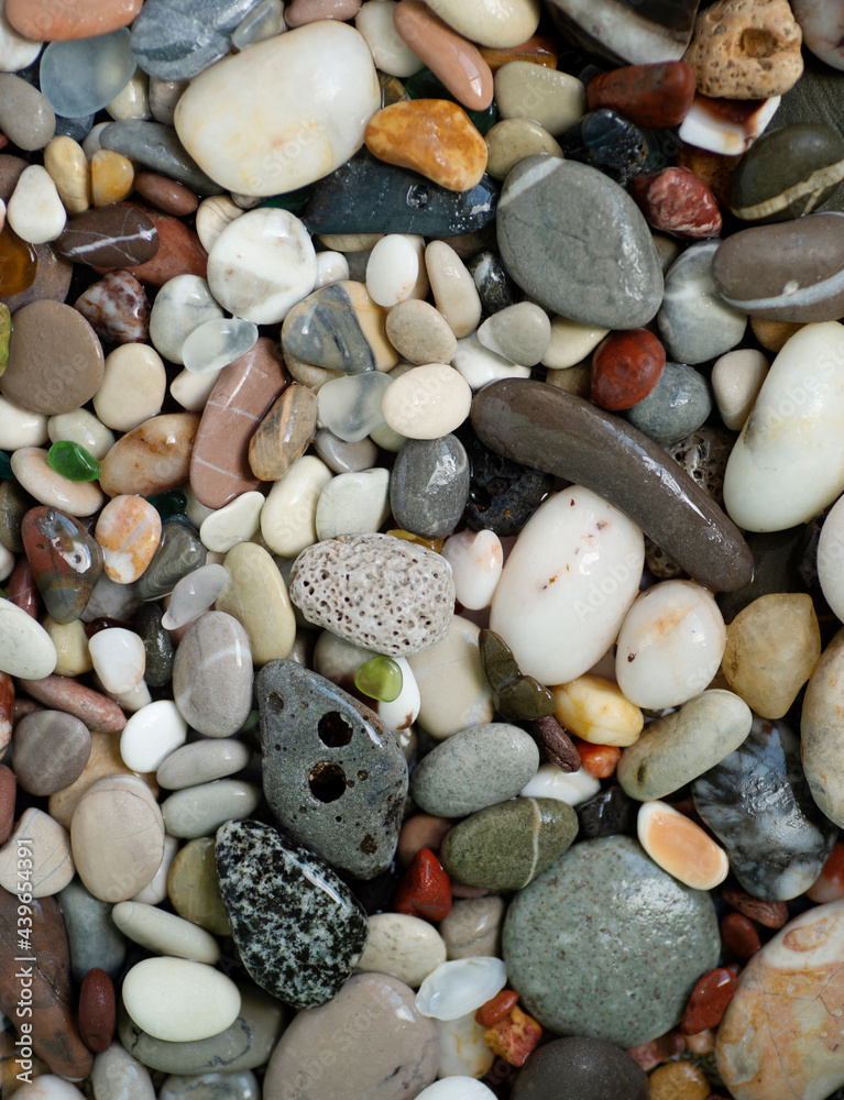 White, gray and brown sea stones, shells and colored glass shine in the sun. Beautiful summer background, coast. Wet pebbles, rocky seashore White, gray and brown sea stones, shells and colored glass shine in the sun. Beautiful summer background, coast. Wet pebbles, rocky seashore
