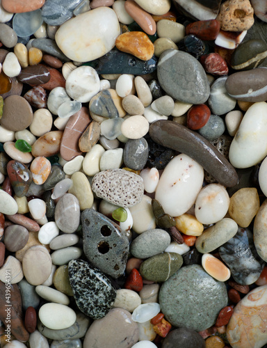 White, gray and brown sea stones, shells and colored glass shine in the sun. Beautiful summer background, coast. Wet pebbles, rocky seashore