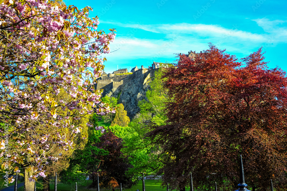 Naklejka premium DSC_7427.JPG