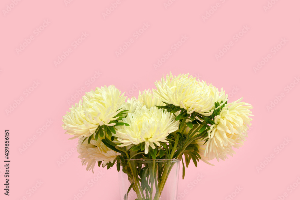 Bouquet of white aster flowers in vase in front of pink pastel background. Springtime floral composition with copyspace.