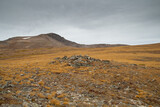 Alpine Tundra Landscape