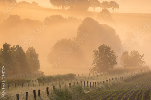 beautiful misty sunrise on belgian farmland