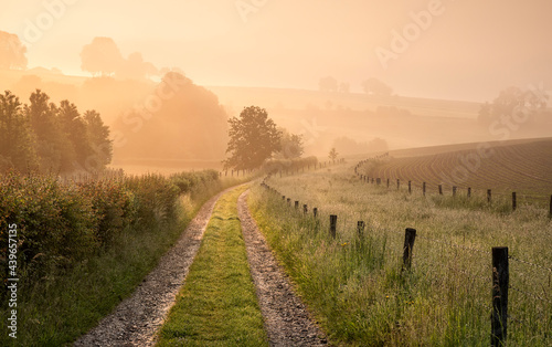 countryside road on Belgian farmland at sunrise