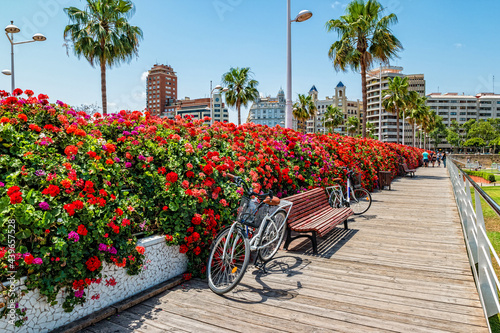 Bridge of Flowers in Valencia Spain photo