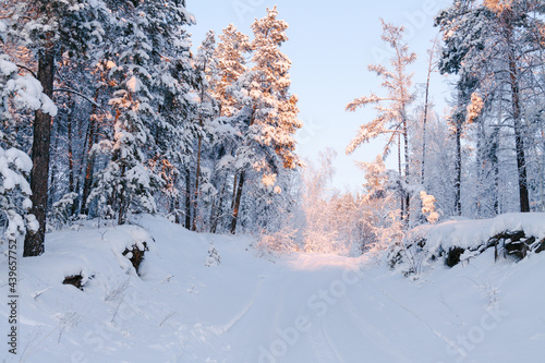 winter landscape in Siberia