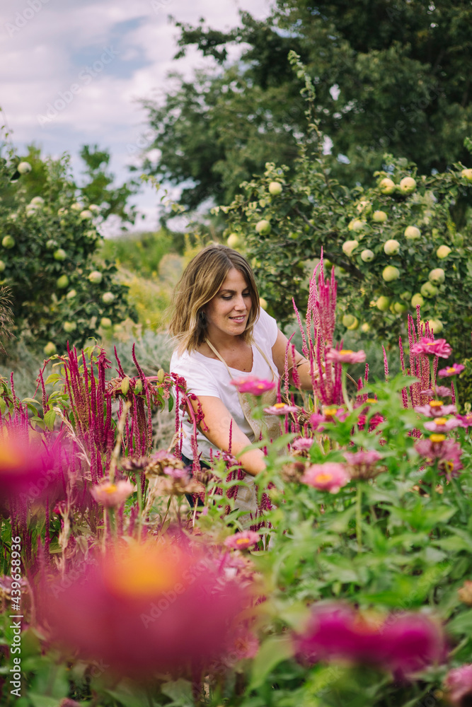 picking flowers in the garden picking flowers in the garden