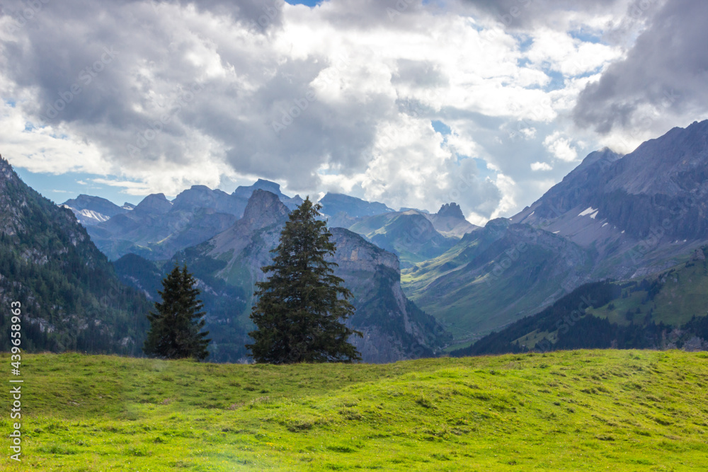 mountain trail in Swiss Alps