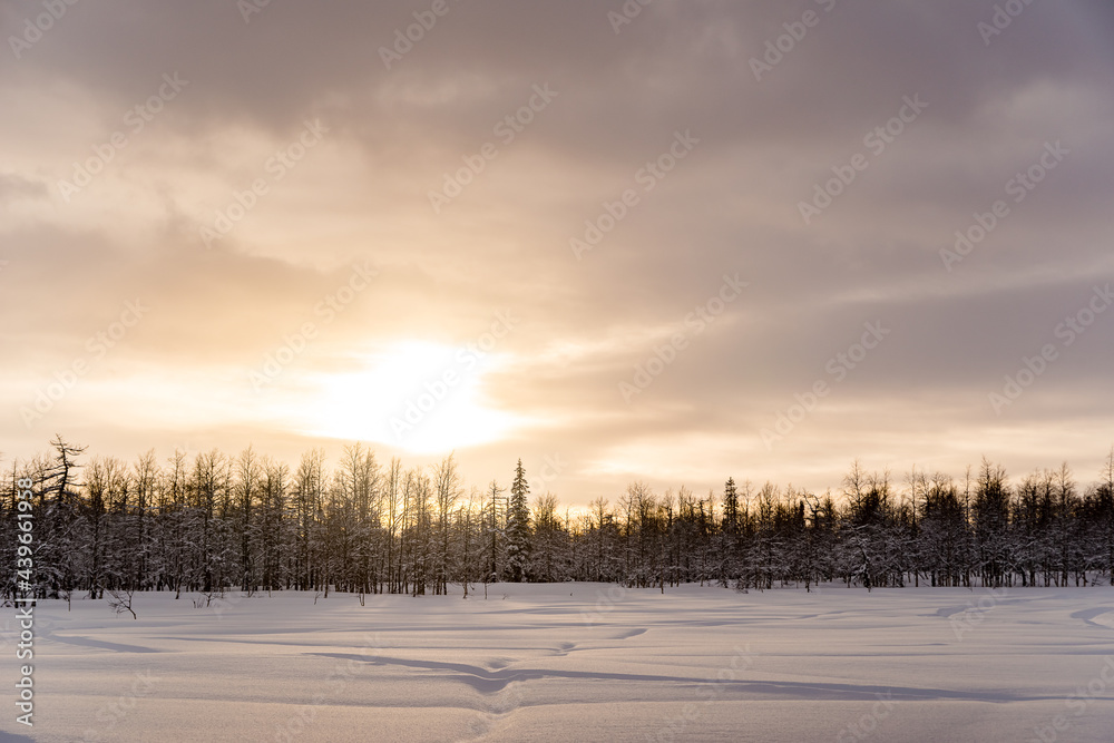 Landscape in the winter ski hiking in the mountains of the Urals Landscape in the winter ski hiking in the mountains of the Urals