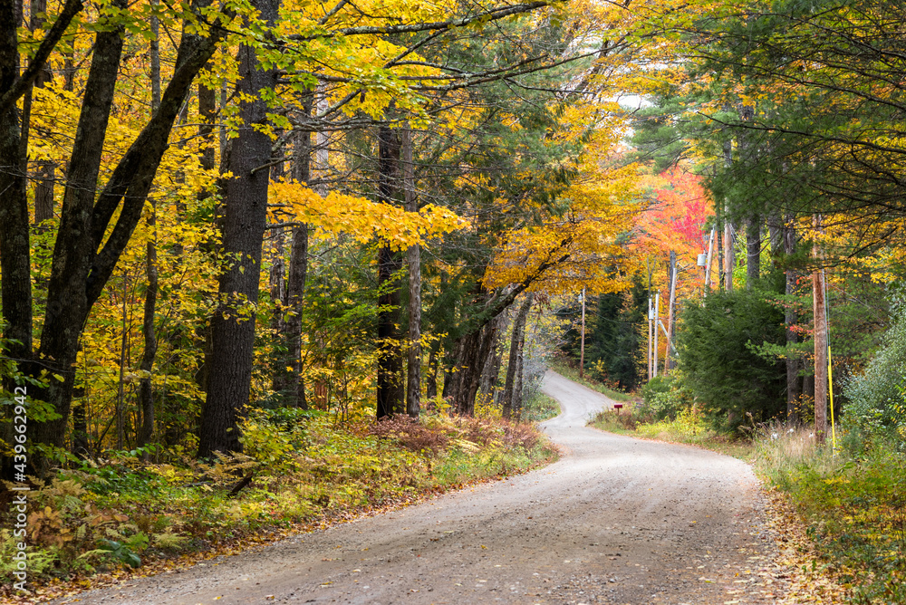 Winding forest road going upward in the mountains in autumn. Fall foliage. NH, USA.