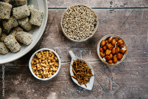 Garden bird food