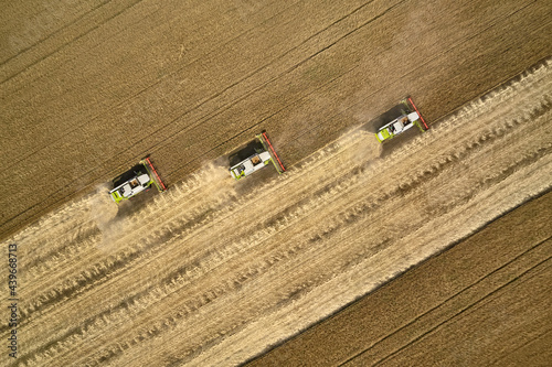 Harvesting by combines on gold field of ripe cereals photo