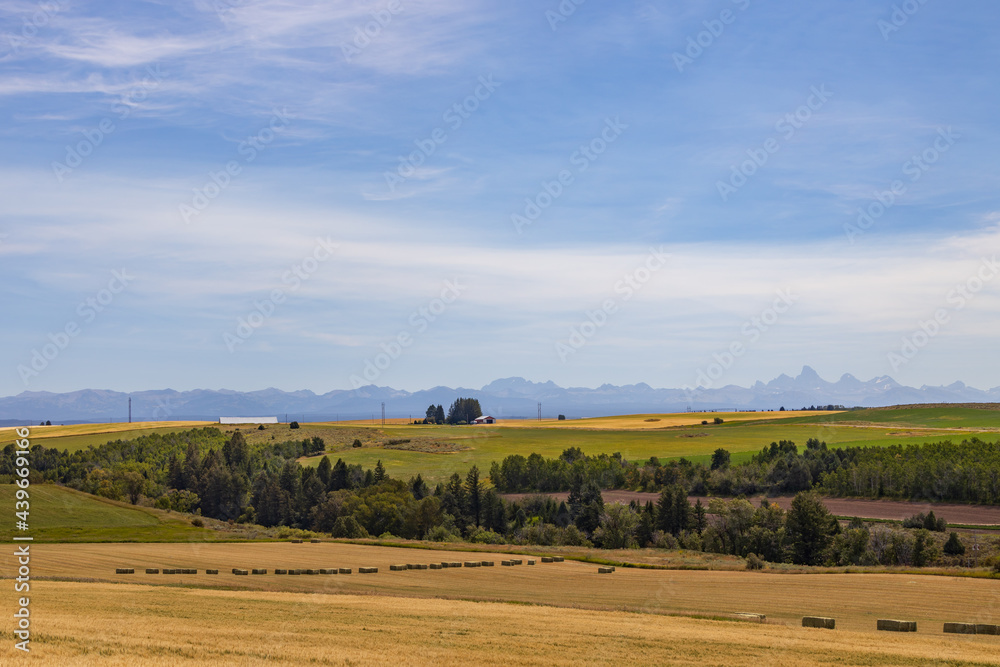 Fields and blue sky with white clouds and Teton mountain range background