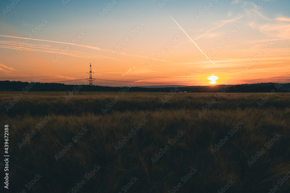 Sonnenuntergang über dem Gerstenfeld