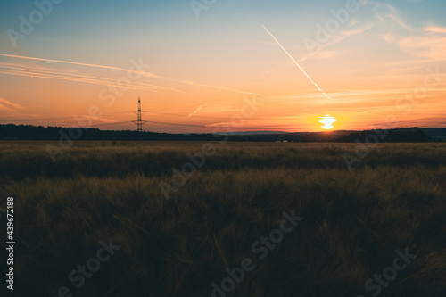 Sonnenuntergang über dem Gerstenfeld