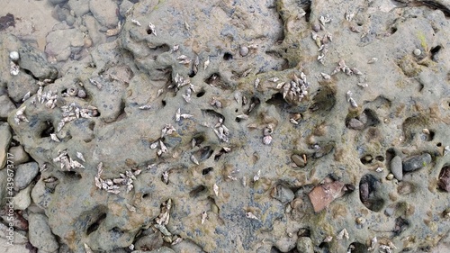 concrete wall texture