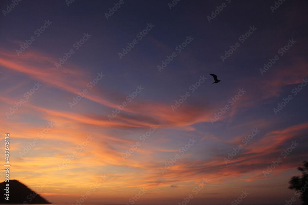 Foto tramonto con uccello