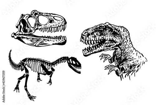 Graphical set of dinosaur isolated on white background, vector paleontological collection
