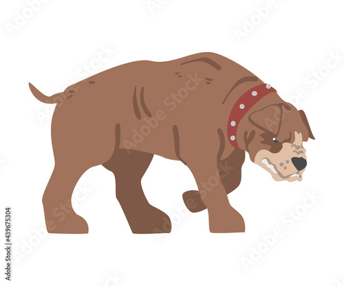 Large Aggressive Brown Dog in Leather Collar Vector Illustration