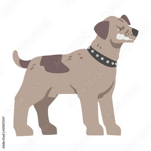 Angry Aggressive Pedigree Dog Baring its Teeth Vector Illustration