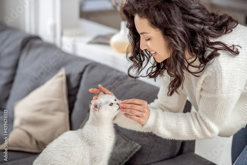 Cute young woman feeding her white cat