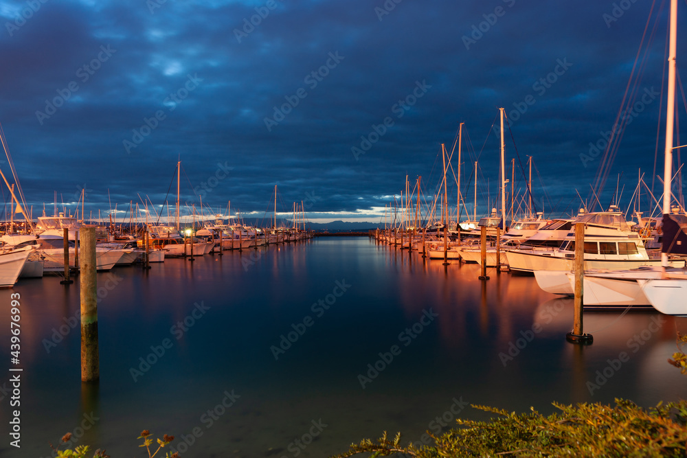 Rows of boats moored in Tauranga Marina at night