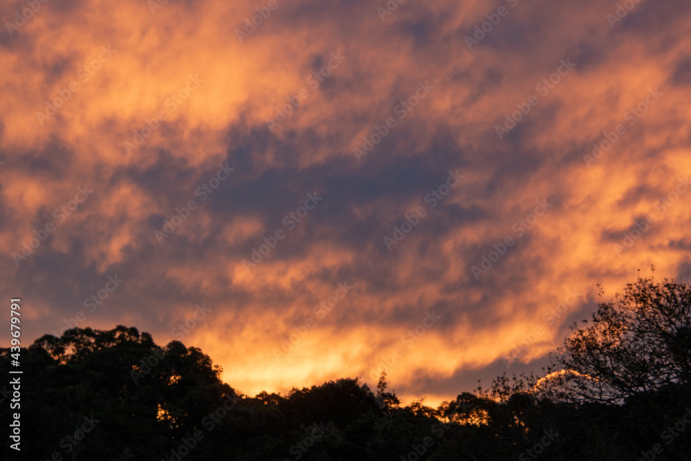Fototapeta premium The sun sets over the forest on the Garden Route in South Africa