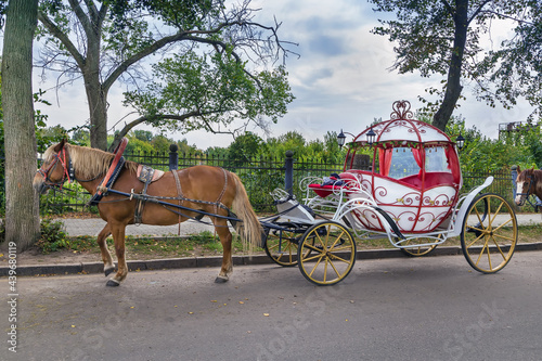 Сarriage in Suzdal, Russia photo