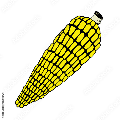 Corn cob clipart isolated on white background