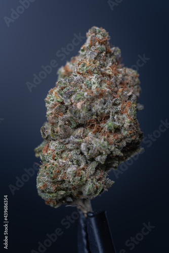 Cannabis Flower Macro - Strain: 