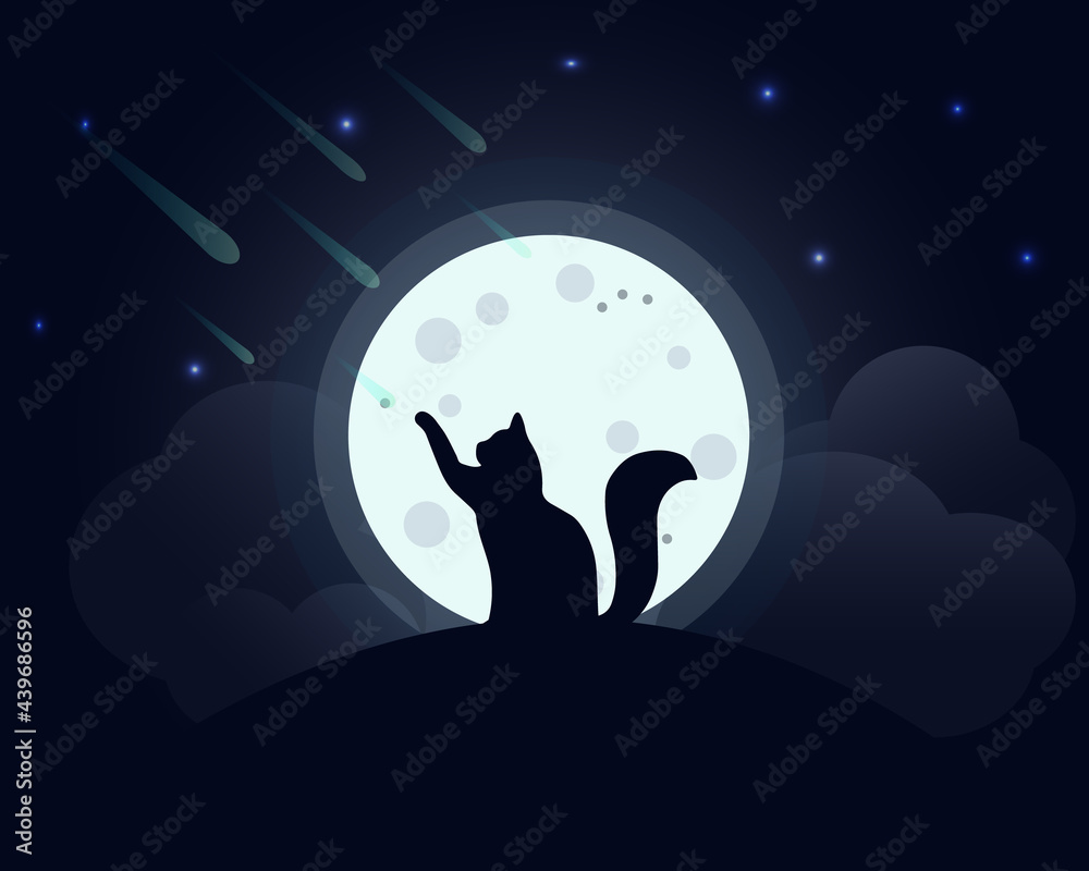 Fotografie, Obraz Cat in the moonlight