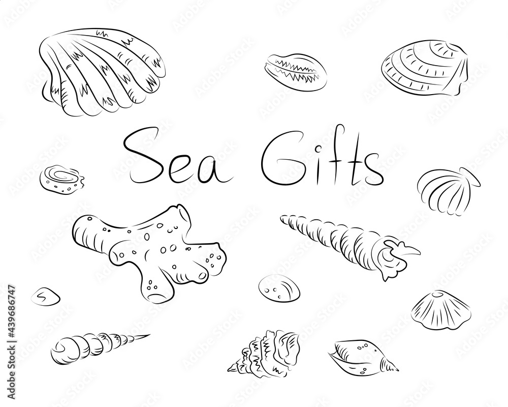 Vector set of shells and corals in black lines
