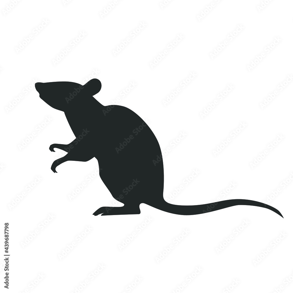 Rat isolated on white. Vector illustration.