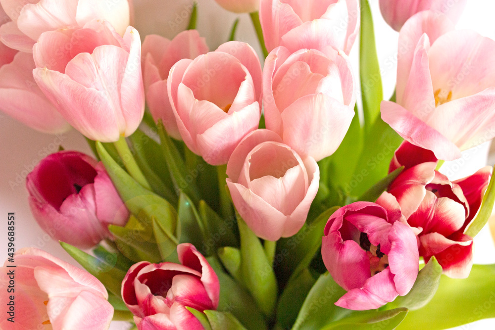 Tulip. Bouquet of tender pink tulips. Concept, symbol of the holiday. Floral arrangement of spring flowers