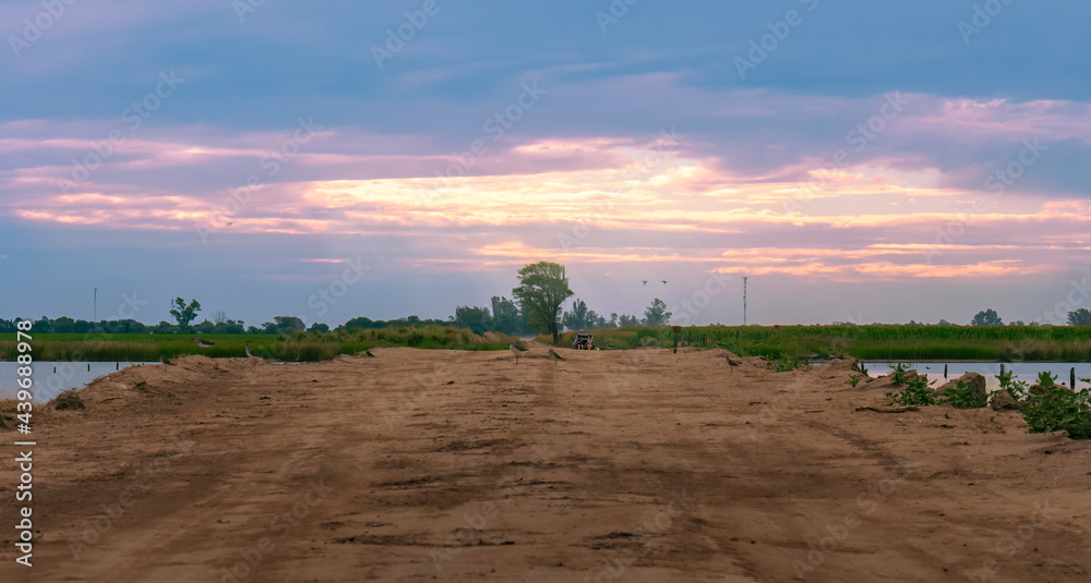 Obraz premium Scenic view of a sunset in a slightly cloudy sky on a rural field out of the city. View in perspective through a dirt road with an ancient tree in the background.