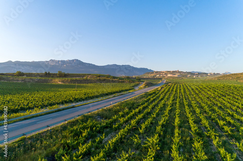 Road and Vineyards La Rioja Spain