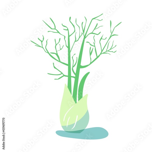 Fresh dill spice plant fennel silhouette isolated on white background. Herbal vector flat illustration. Design for card, food menu restaurant, botanical poster